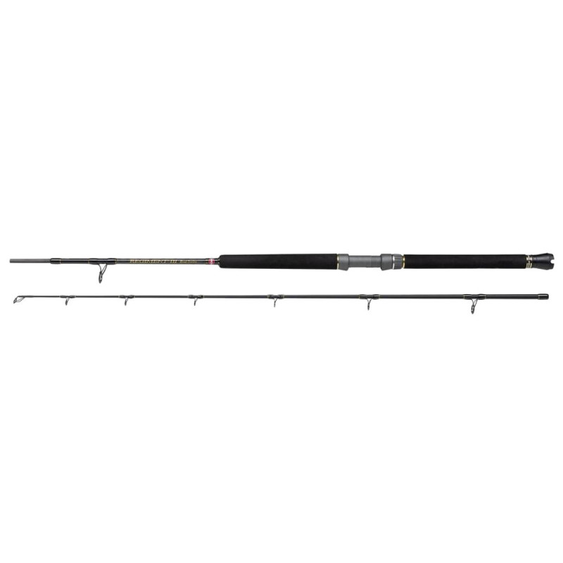 Caña Penn Regiment III Boat 12-20 | Pesca desde embarcación