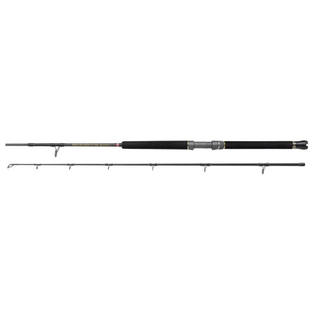 Caña Penn Regiment III Boat 12-20 | Pesca desde embarcación