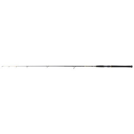PESCA CAÑA PENN WRATH II DORADE 2,10
