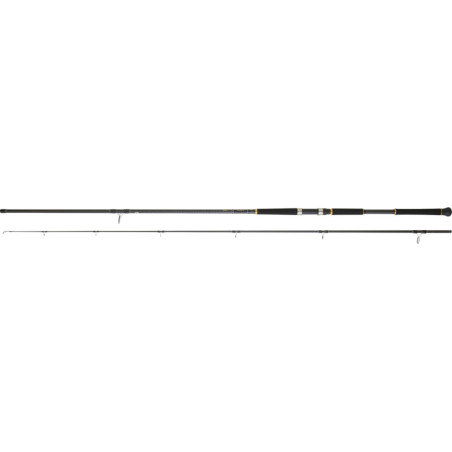 Caña Daiwa Legalis SJ 3,20 XXHFS para shore jigging