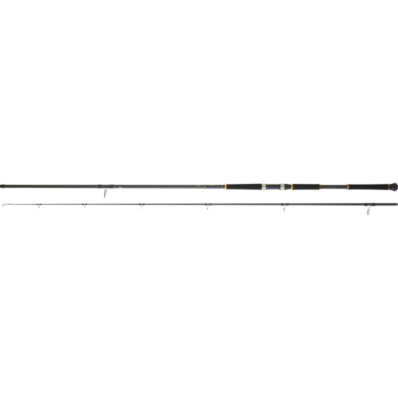Caña Daiwa Legalis SJ XHFS 290 cm para shore jigging