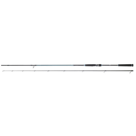Caña Daiwa Caldia SB 2,50 HMHFS | Spinning