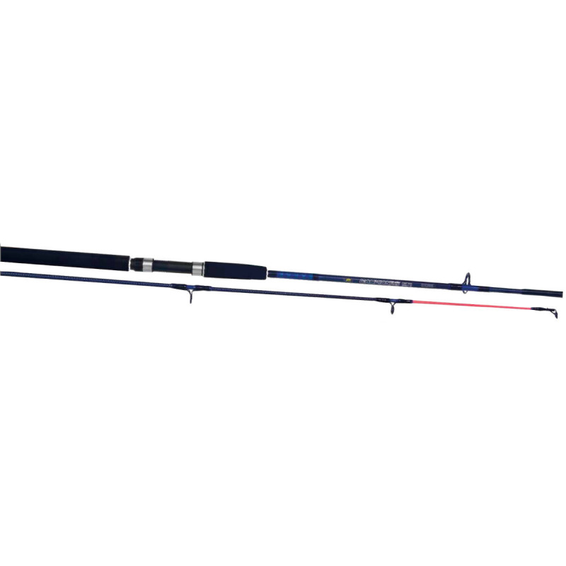 Caña Caspian Pro 1,65 para spinning