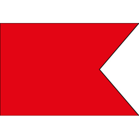 BANDERA BRAVO