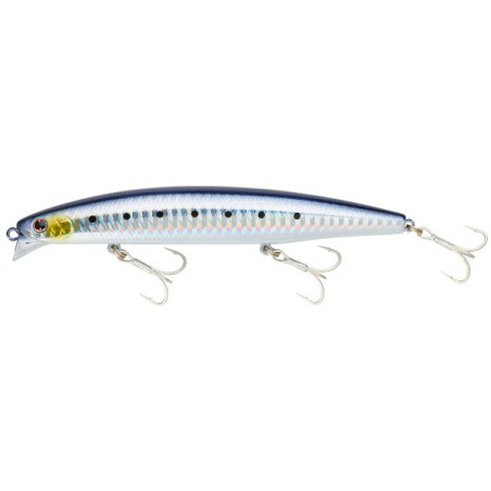 ENGAÑO SHORELINE VZ 120F