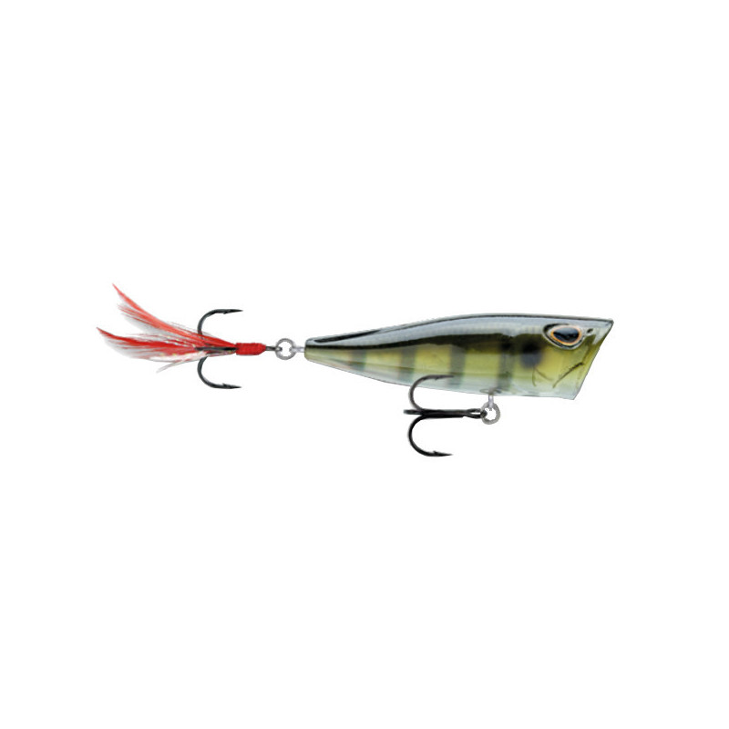 ENGAÑO ARASHI COVER POP 8 CM