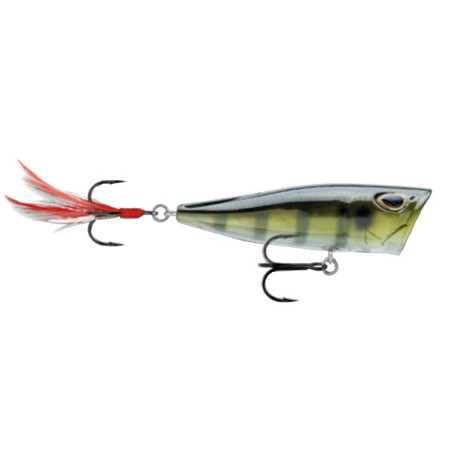 ENGAÑO ARASHI COVER POP 8 CM