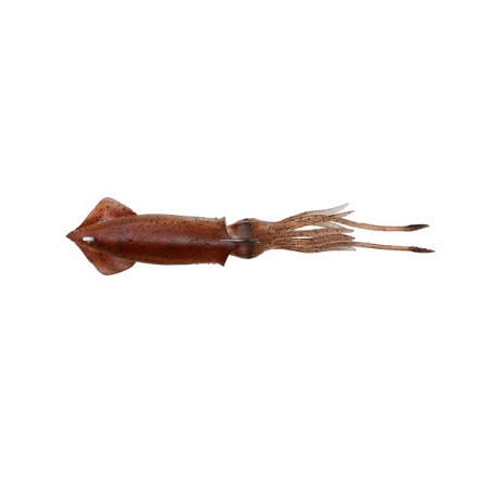 engaÑo 3d swin squid 95 mm brown