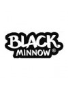 Black minnow