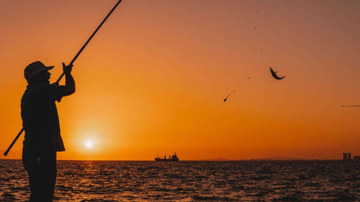 ¿Cómo saber dónde hay peces en el mar antes de lanzar la caña?