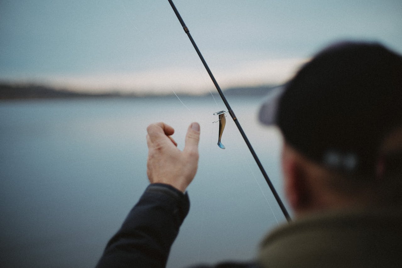 Cebos naturales para pesca en el mar: cuáles funcionan mejor según la especie
