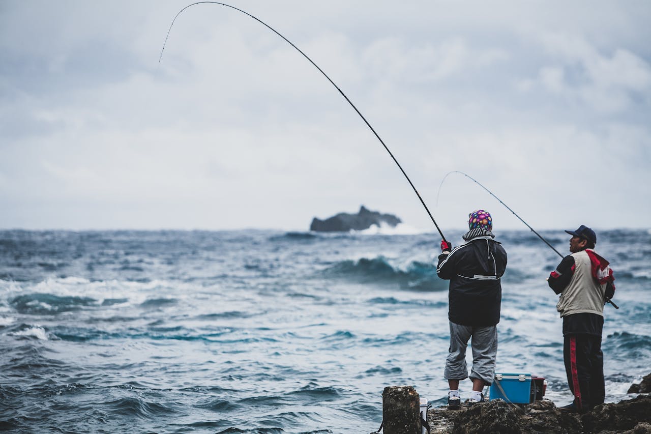 Mejor caña de surfcasting para empezar