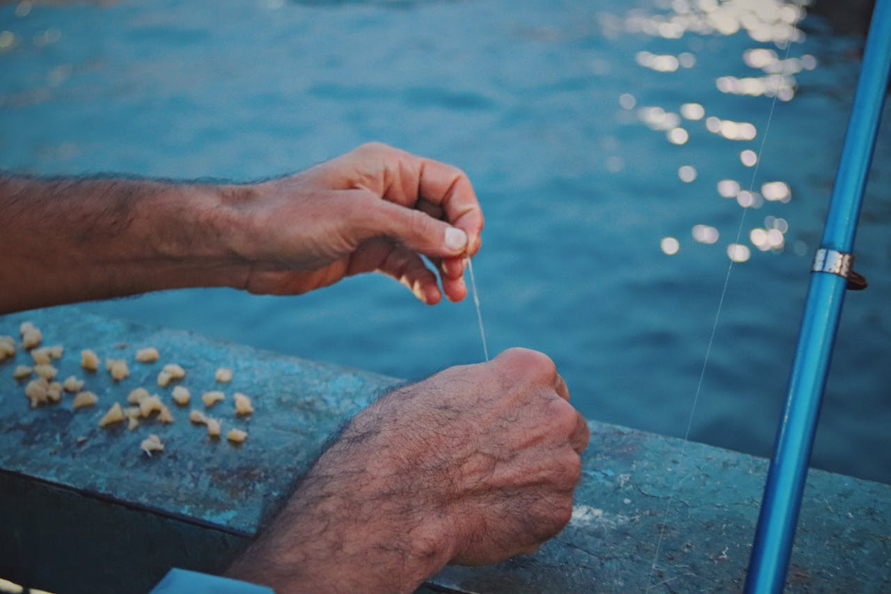 Fluorocarbono vs monofilamento: diferencias, ventajas y cuándo usar cada hilo