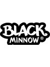 Black minnow